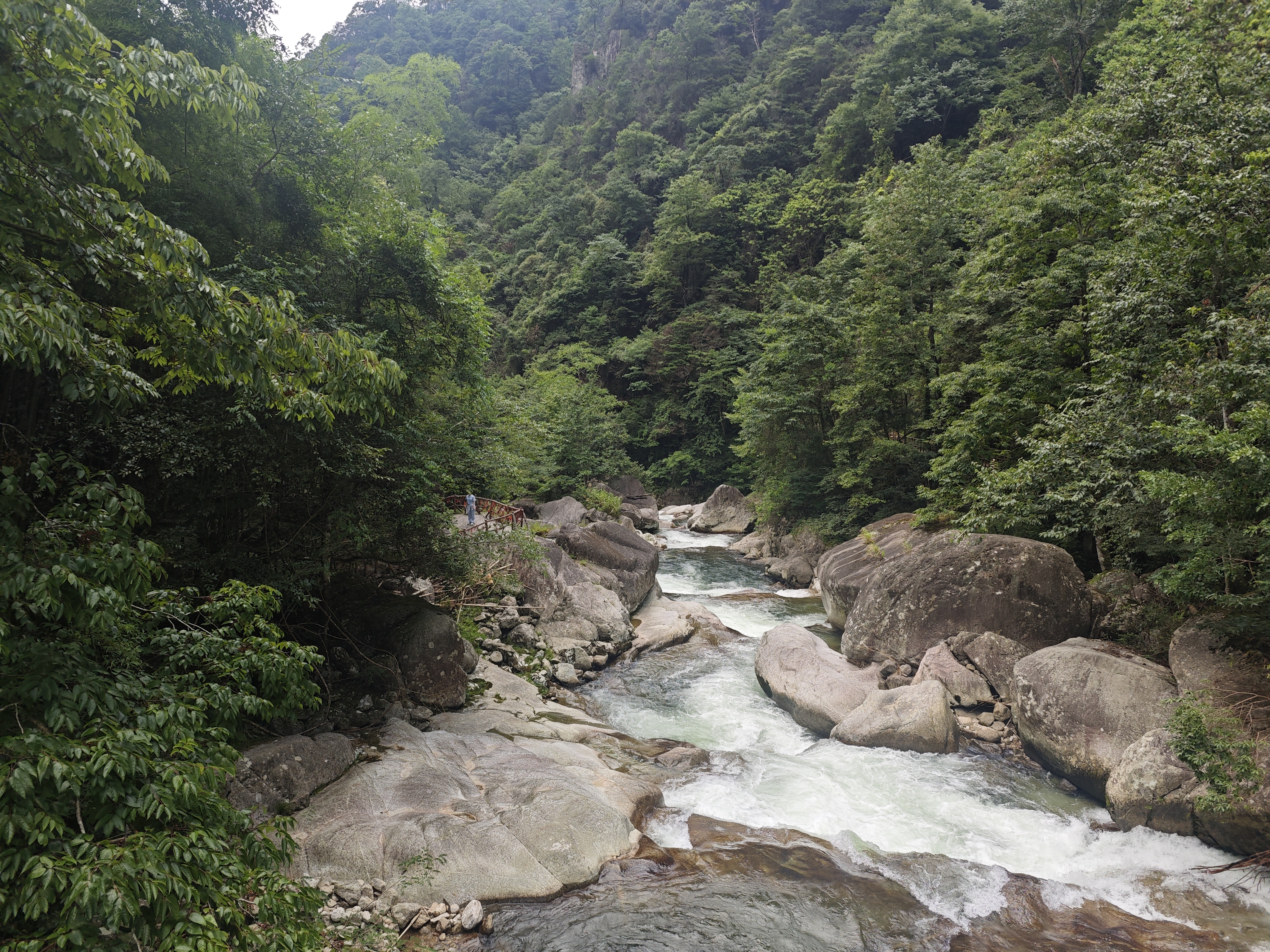 IMG_20240803_142336